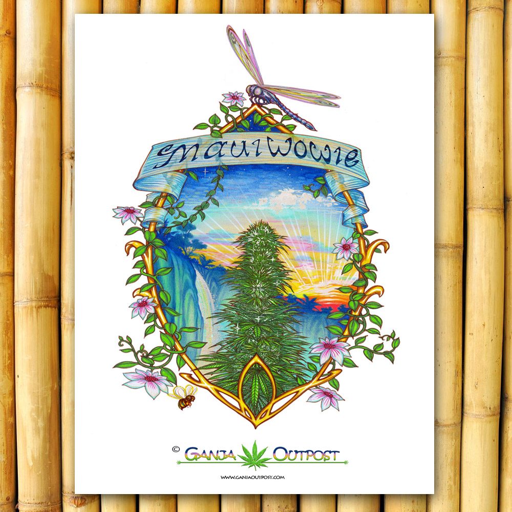Maui Wowie Pot Posters Retro Cannabis Artwork Ganja Maui Wowie Pot Posters Retro Cannabis Artwork Ganja