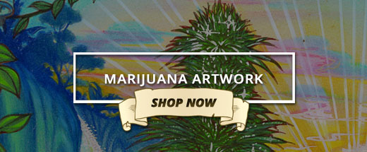 Vintage Marijuana Artwork Exclusively at Ganja Outpost