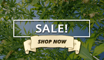 Shop CLearance Marijuana Apparel