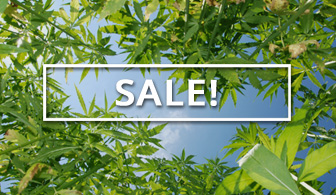 Shop Sales at Ganja Outpost