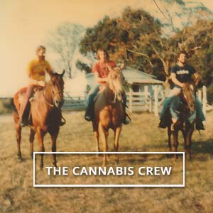 Meet the Original 1970's Cannabis Crew