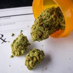 Medical Marijuana research to replace prescription painkillers